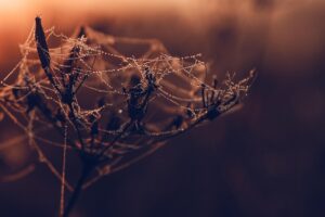 英語が必要なWebマーケターに転職するためのステップは？