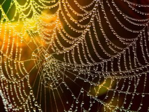 web jobを成功させるために必要なスキルとは？