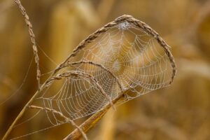 webエンジニアが始める副業のメリットとは？