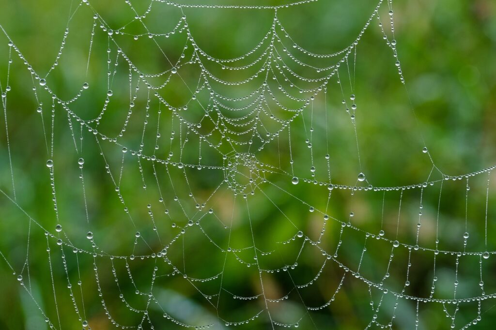 webディレクターのポートフォリオに必要な要素とは？