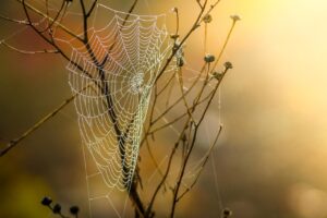 webマーケティングの年収はどのくらい？