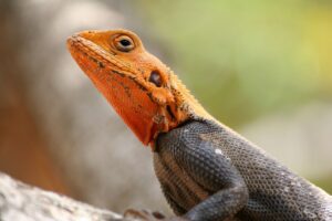 ウェブマーケターの年収はどのくらいが相場ですか？