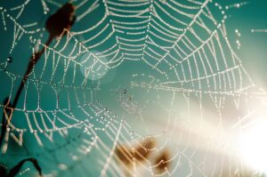 ポートフォリオを作成する際に知っておくべきwebデザイナーのポイントは？
