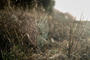 web広告運用を未経験から始めるためのステップは？