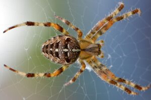 webデザイナー面接で知っておくべき逆質問とは？