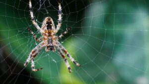 Web業界の転職で年収とリモート勤務を比較する方法は？