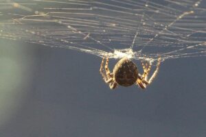 Web業界への転職はいつから始めるべき？
