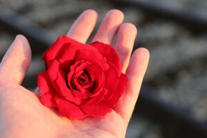 転職を考えるなら知っておきたいWeb業界のトレンドとは？