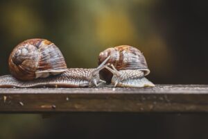 転職エージェントを比較する際のポイントは？